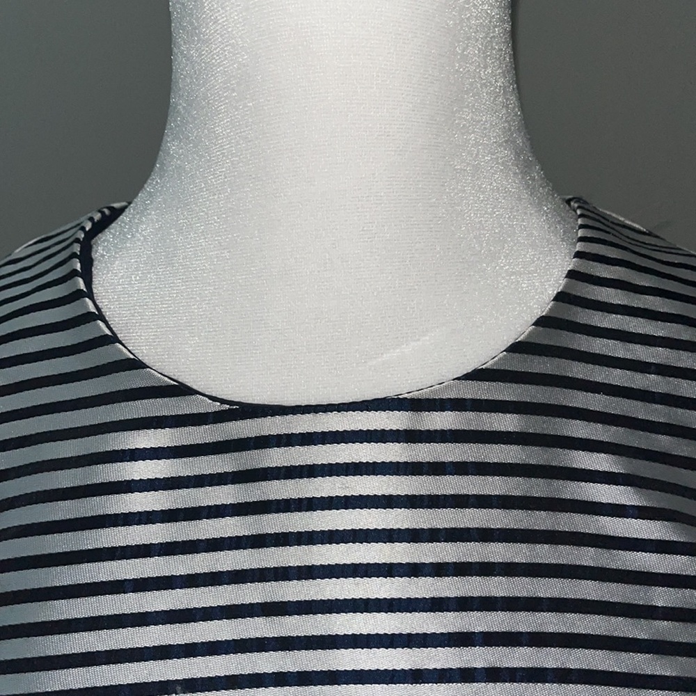 NWT Banana Republic Petites Collection Dress - Picture 2 of 9
